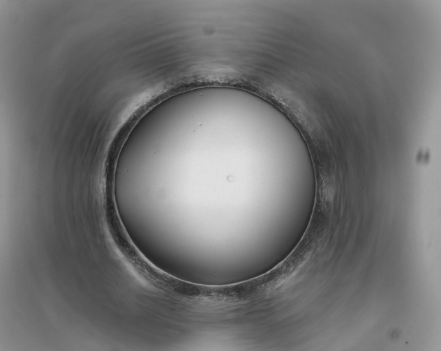 X0000096180630200802011343