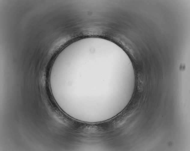 X0000096180631200802011343