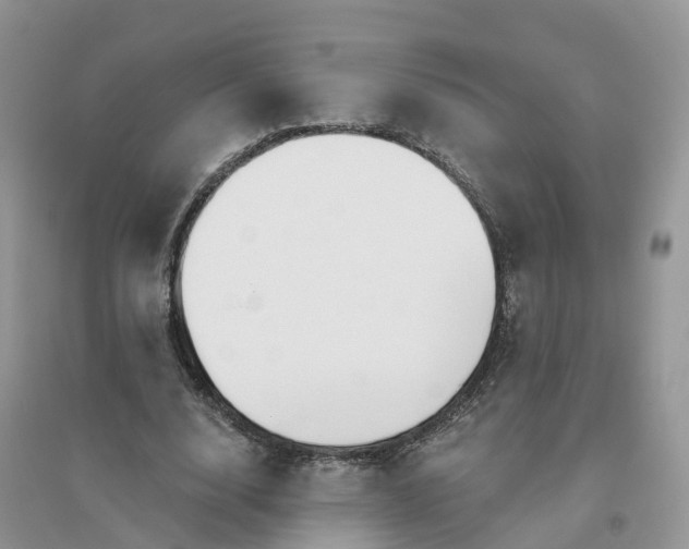 X0000096180632200802011343