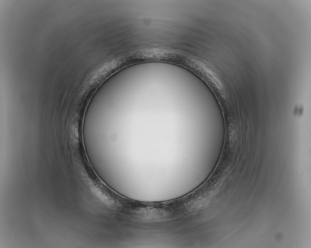 X0000096180633200802011343