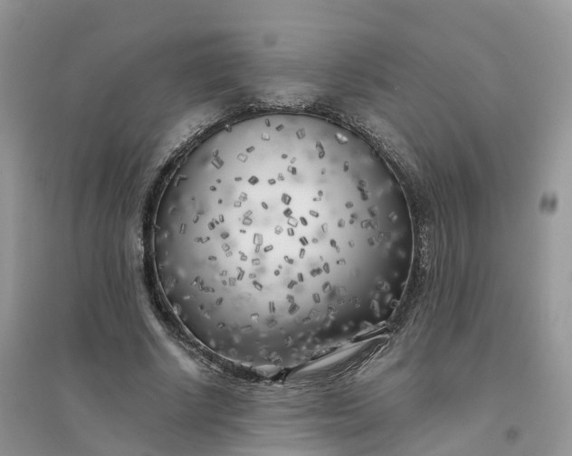 X0000096180634200802011343