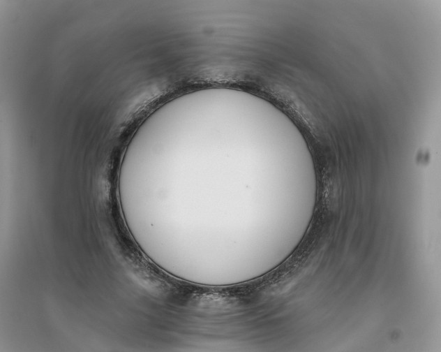 X0000096180635200802011343