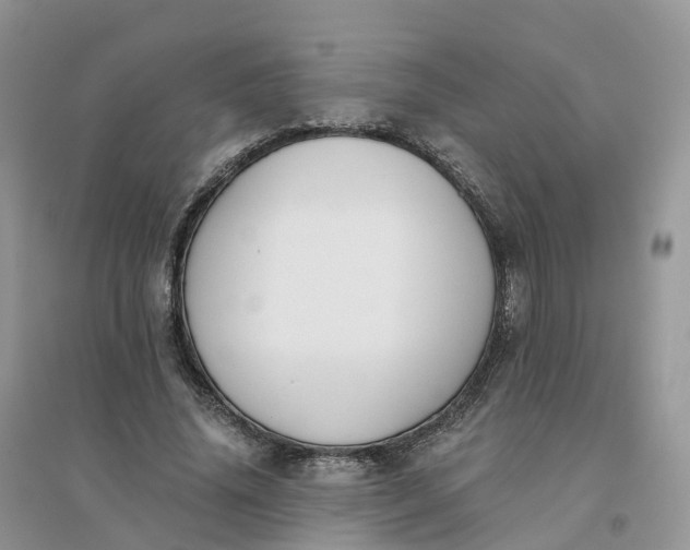 X0000096180636200802011343