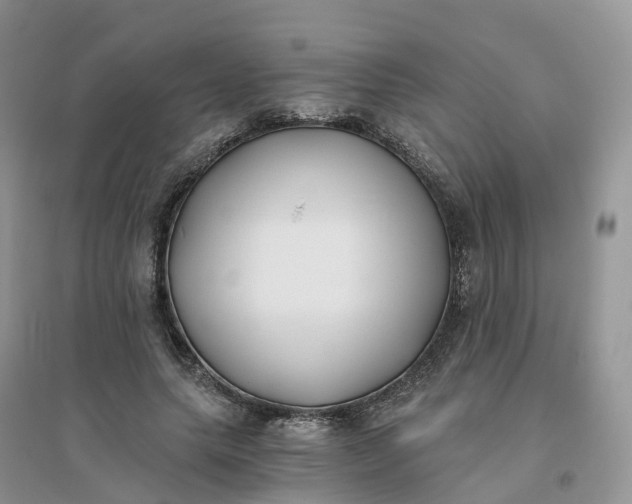 X0000096180639200802011343