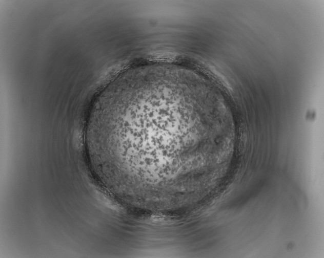 X0000096180641200802011343