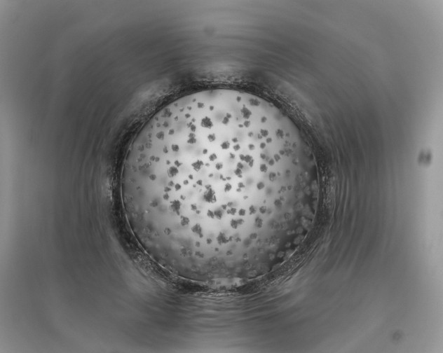 X0000096180643200802011343