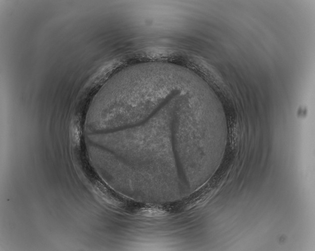 X0000096180644200802011343