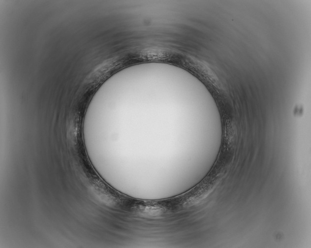 X0000096180645200802011343