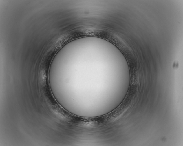 X0000096180646200802011343