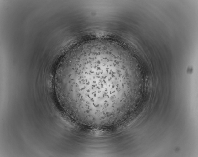 X0000096180650200802011343