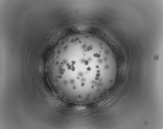 X0000096180651200802011343