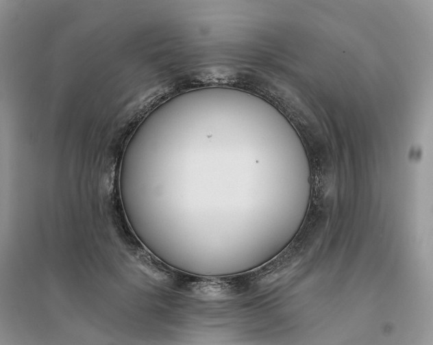 X0000096180652200802011343