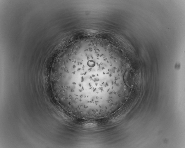 X0000096180653200802011343
