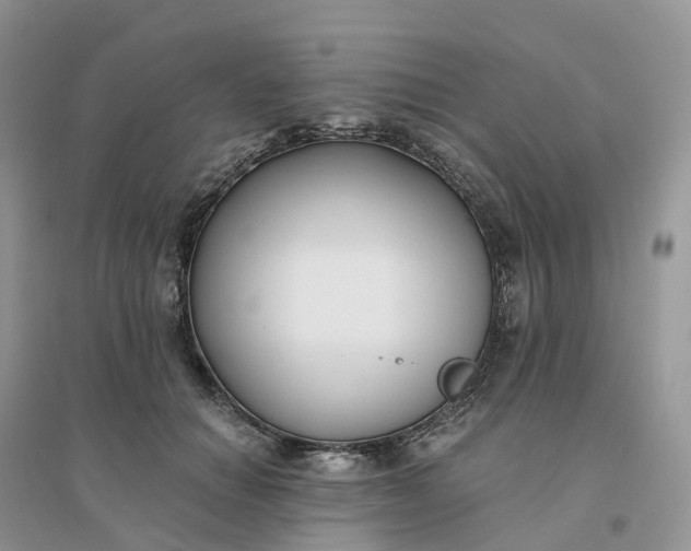 X0000096180654200802011343