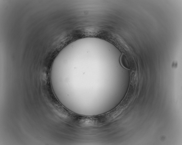 X0000096180655200802011343