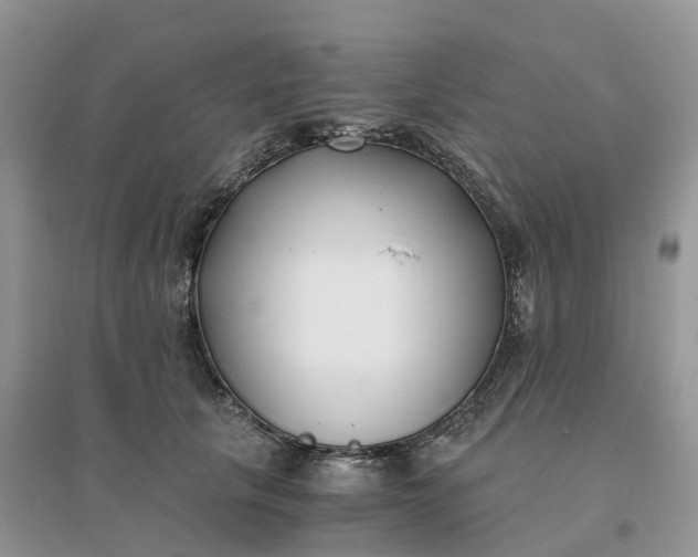 X0000096180657200802011343