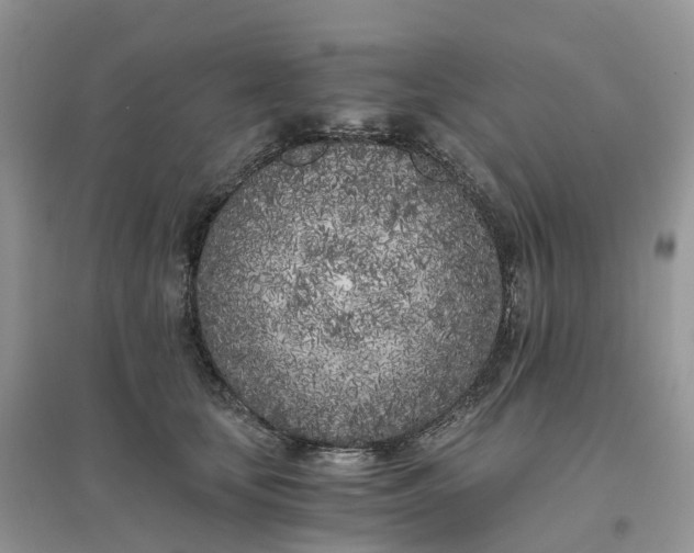 X0000096180659200802011343