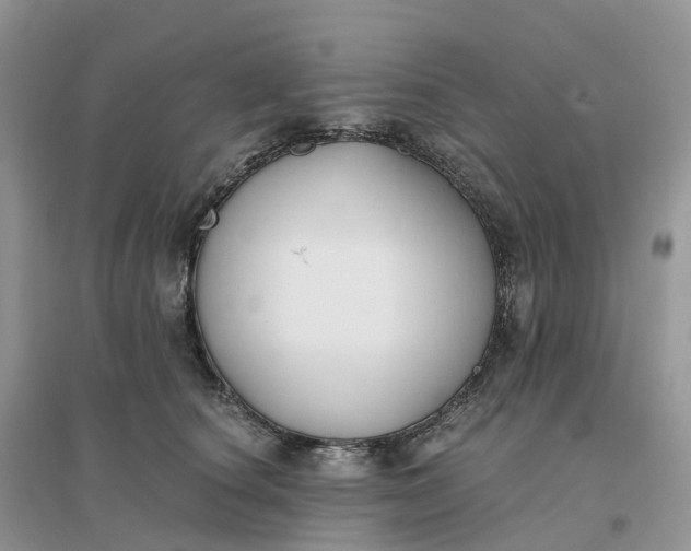 X0000096180660200802011343