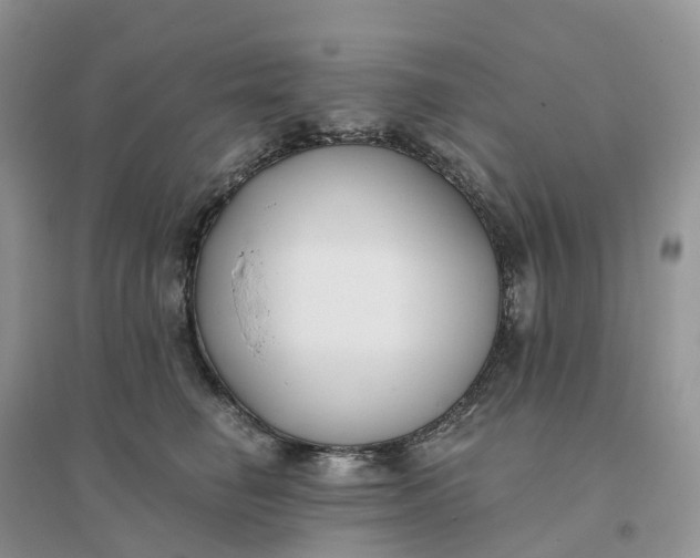 X0000096180662200802011343