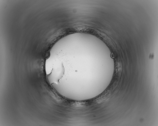 X0000096180664200802011343