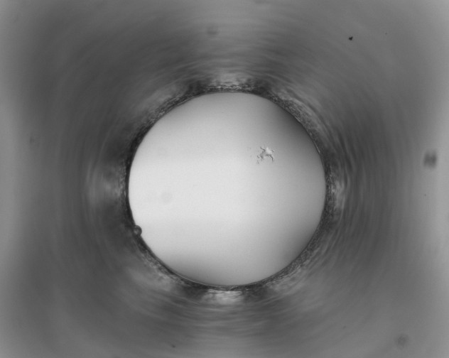 X0000096180665200802011343