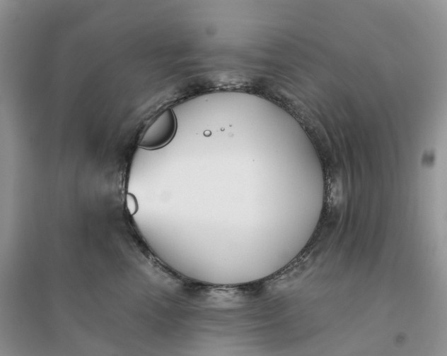 X0000096180666200802011343