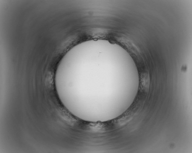 X0000096180667200802011344