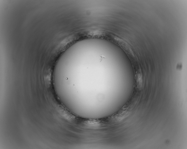 X0000096180668200802011344