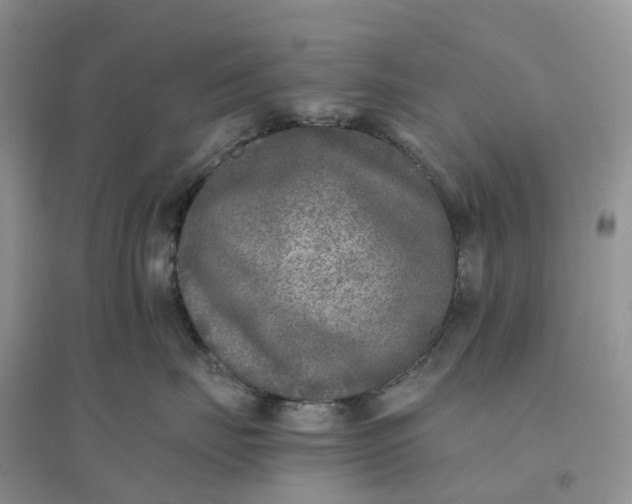 X0000096180671200802011344