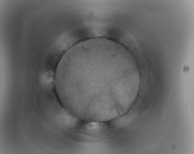 X0000096180672200802011344