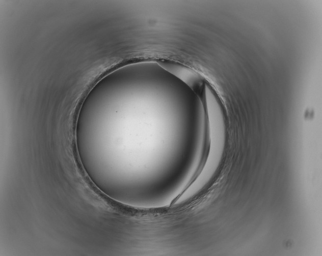 X0000096180673200802011343