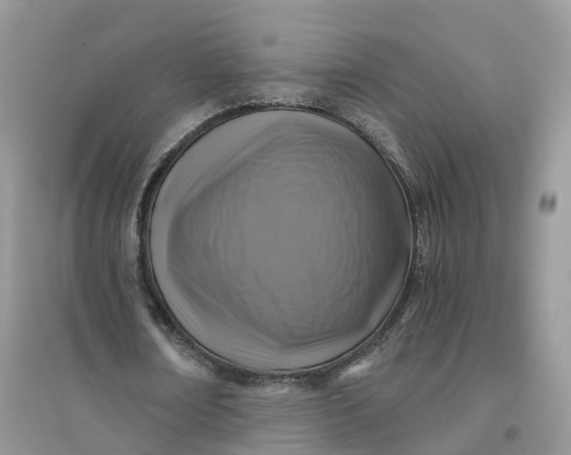 X0000096180674200802011343