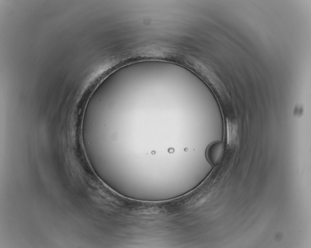 X0000096180675200802011343
