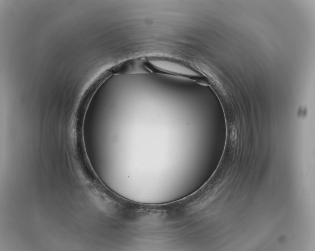 X0000096180676200802011343