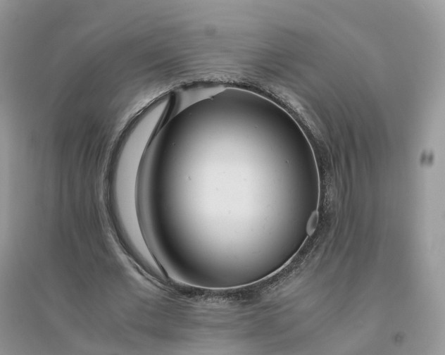 X0000096180677200802011343