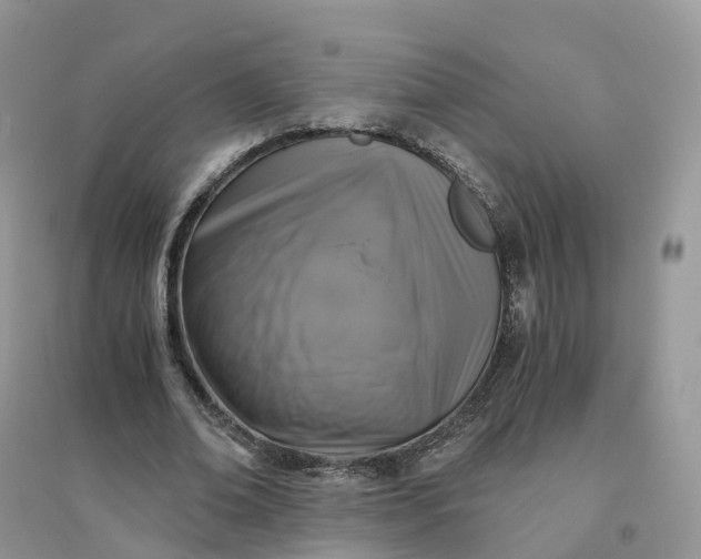 X0000096180678200802011343