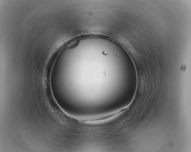X0000096180680200802011343