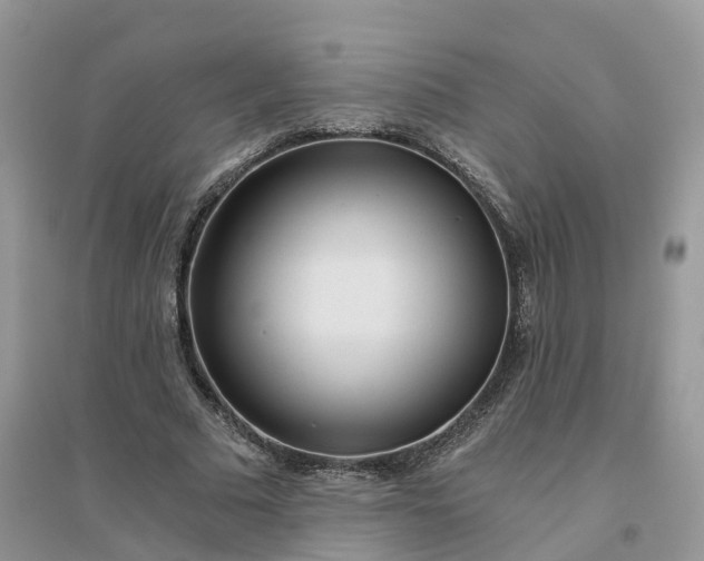 X0000096180681200802011343