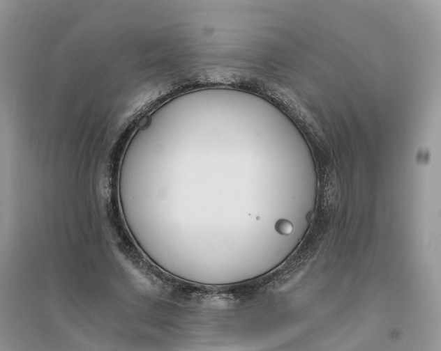 X0000096180683200802011343