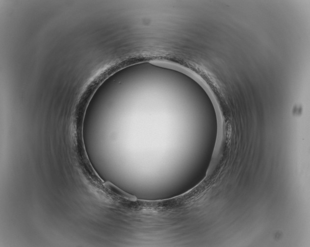 X0000096180684200802011343