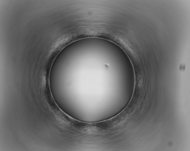 X0000096180685200802011343