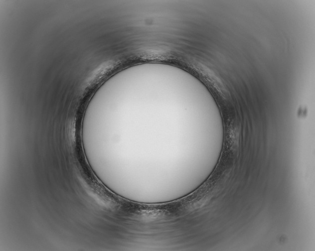 X0000096180686200802011343