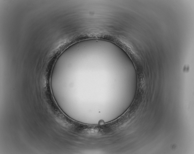X0000096180687200802011343