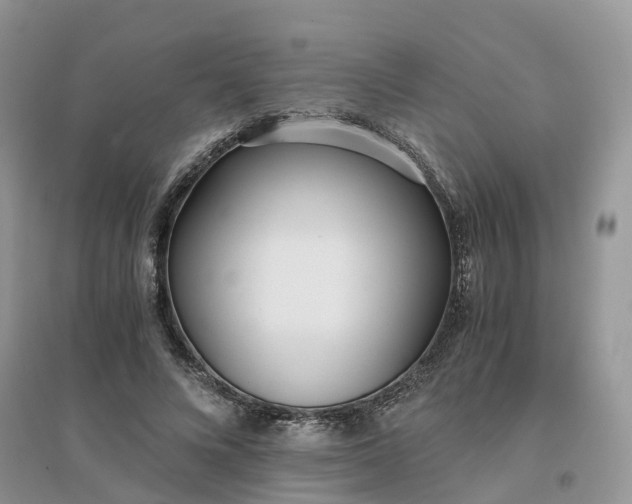 X0000096180688200802011343