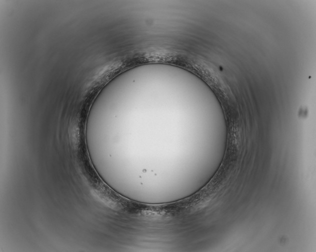 X0000096180690200802011343