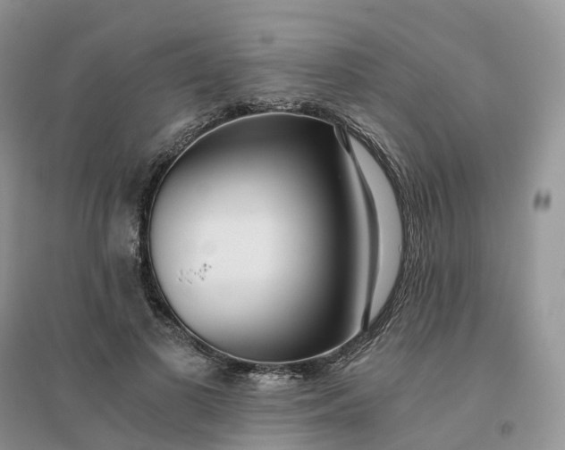X0000096180693200802011342