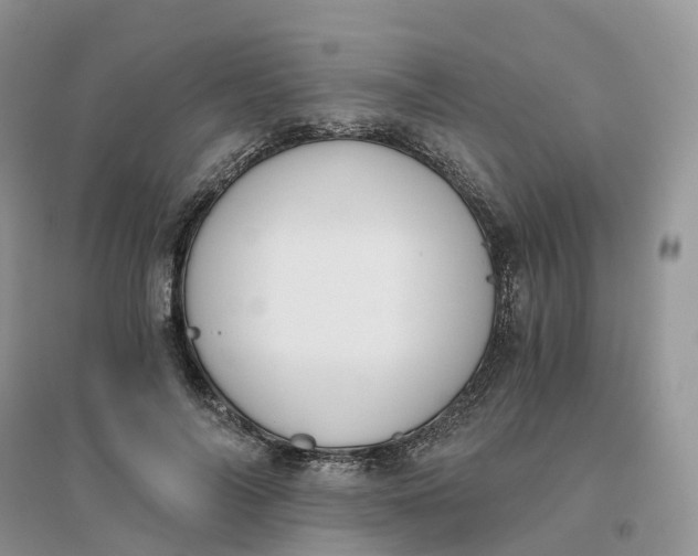X0000096180694200802011342