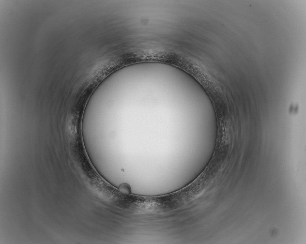 X0000096180695200802011342