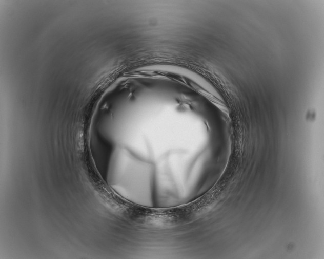 X0000096180696200802011342