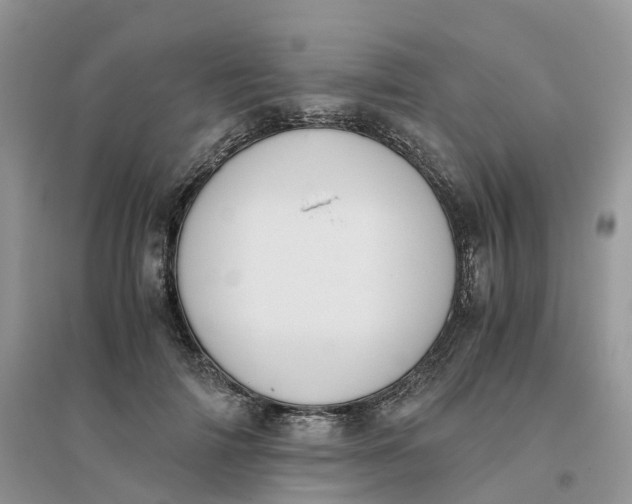 X0000096180698200802011342